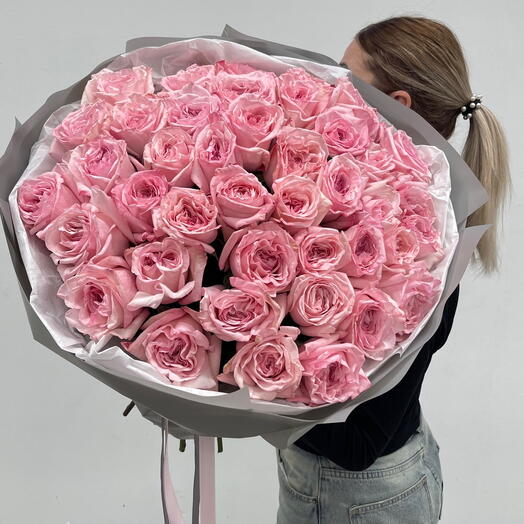 Садовая Роза Pink O Hara