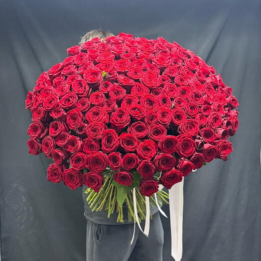 Rose red 80cm 131 pieces