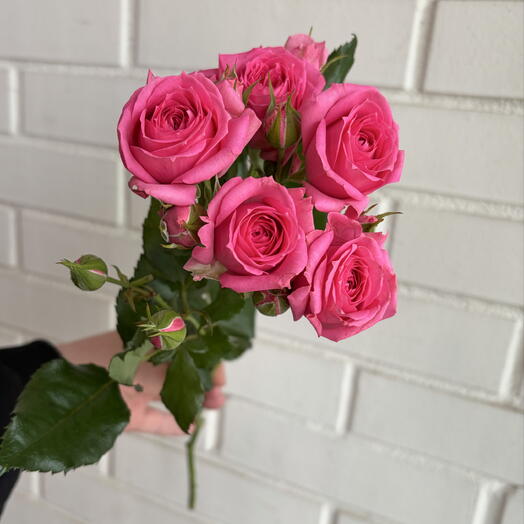 🌺Роза кустовая парниковая