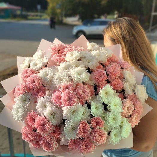 Моно букет из 15 белых и розовых кустовых хризантем 🌸🤍