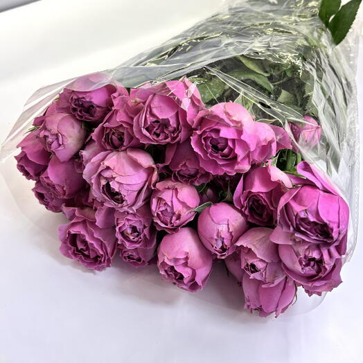 Пачка кустовых роз Мисти Баблс (10шт)