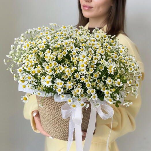 Корзина летних ромашек