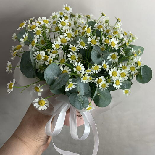 Композиция с рамашками