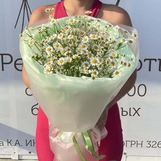 Букет «Ромашек» М