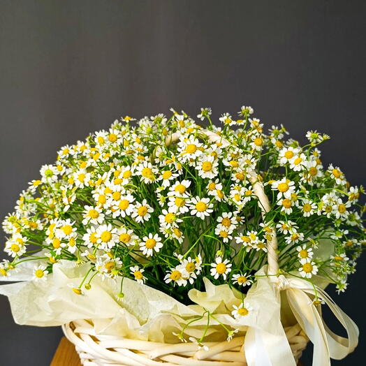 Ромашки