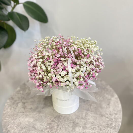 Бело-розовая композиция из гипсофил🎀💗