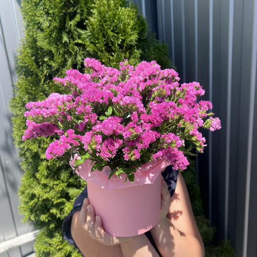 Коробка со статицей 😍
