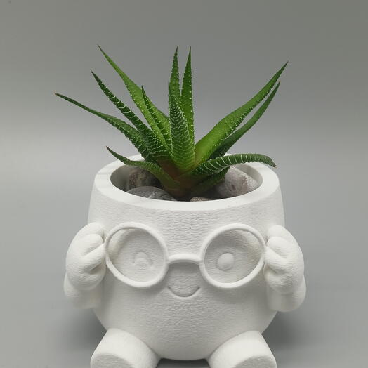 Каменная роза в 3D кашпо