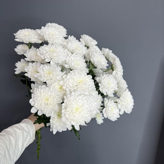 Шикарный букет из кустовых хризантем