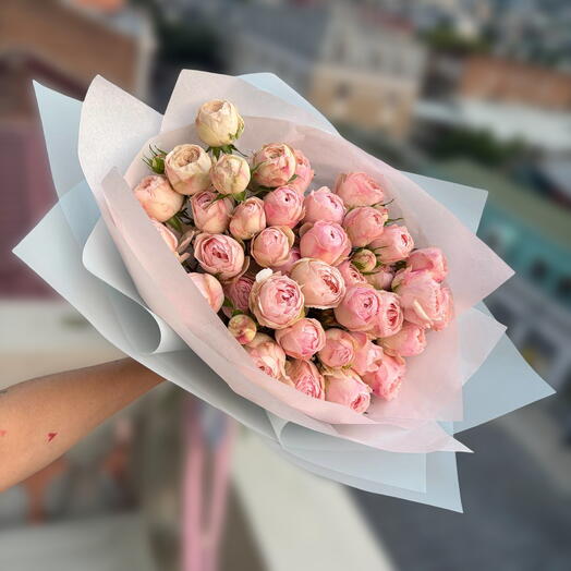 peony spray rose