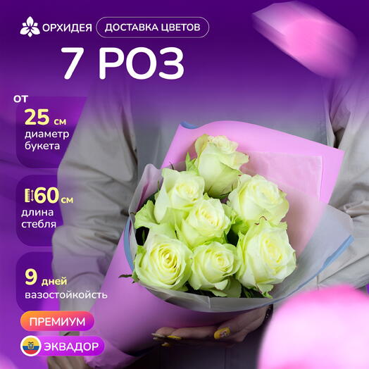 7 Роз белых 60 см