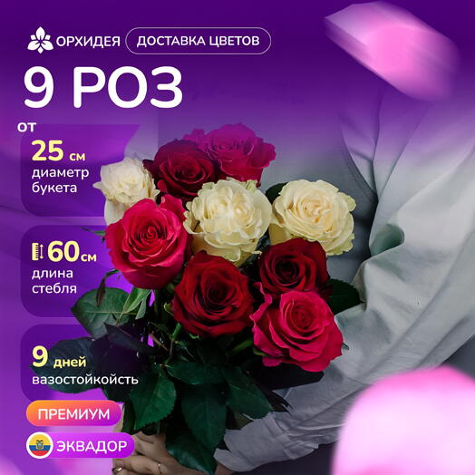Букет 9 Роз 60 см микс