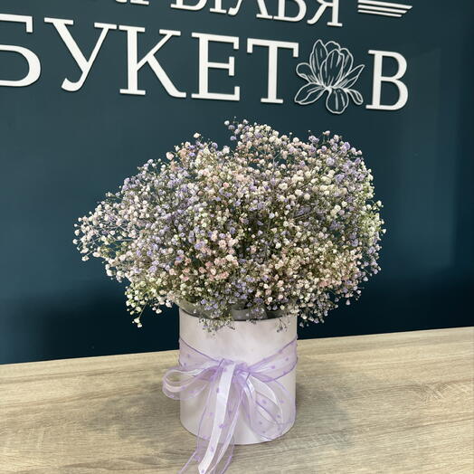 Композиция из гипсофилы «Ажурные аплодисменты»