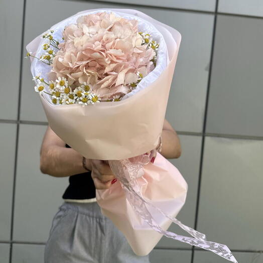 Нежная розовая облака из гортензии , матрикарии 🌸
