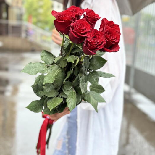 7 длинных красных роз 80см
