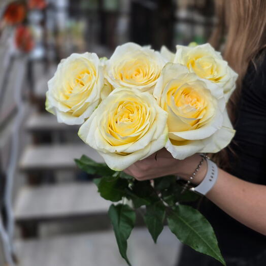 5 роз Candlelight, белый, Эквадор, 60 см: чистая нежность с атласной лентой 🤍🎀