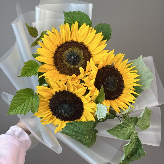 Малина с подсолнухами 💛
