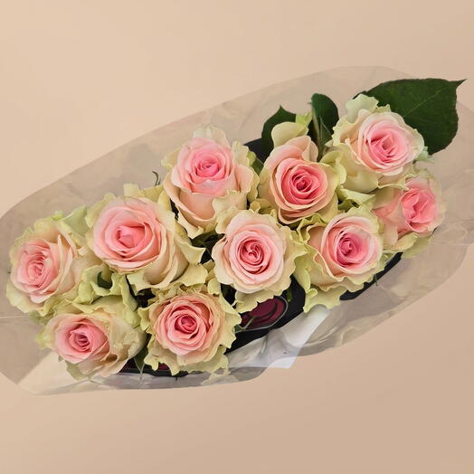 Роза Кения (10 шт)