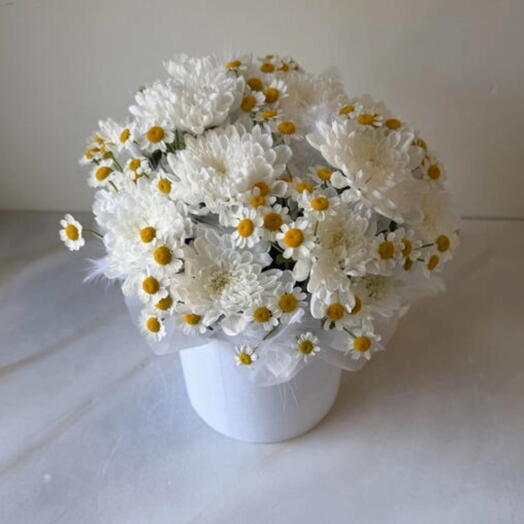 Лёгкость🤍🌼