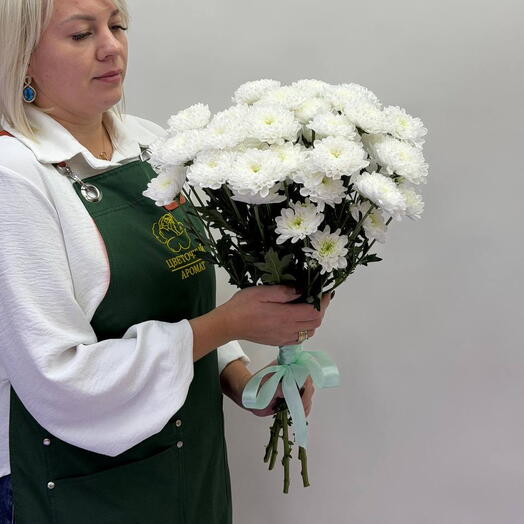246 Алтайская кустовая хризантема 5 шт. под ленту