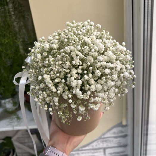 Композиция из гипсофилы