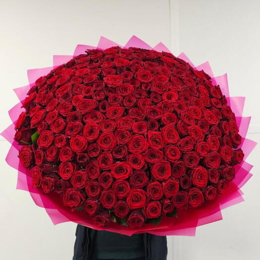 Букет из 201 роз 🌹🔥♥️♥️