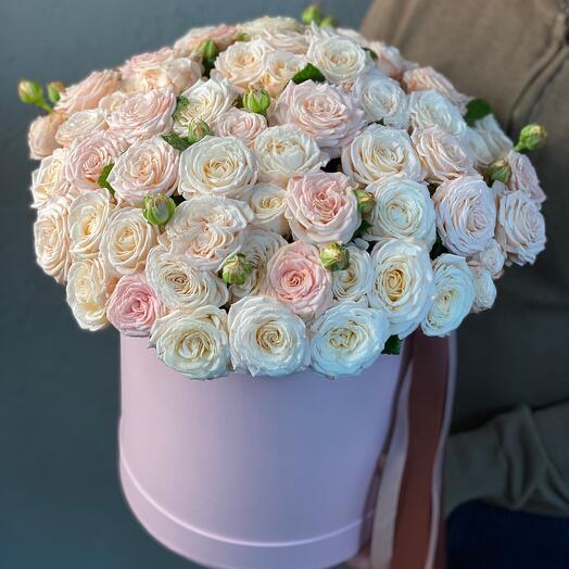 51 peony-shaped rose in a box