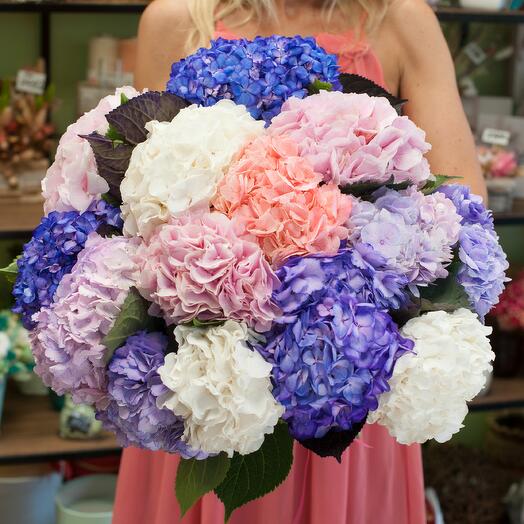 Bouquet of flowers Favorite hydrangeas