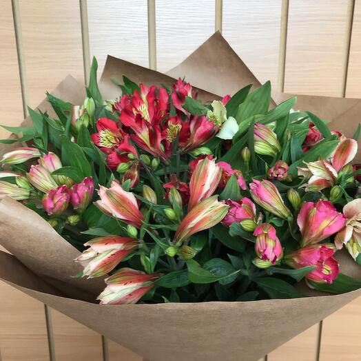Bouquet of 19 alstroemeria