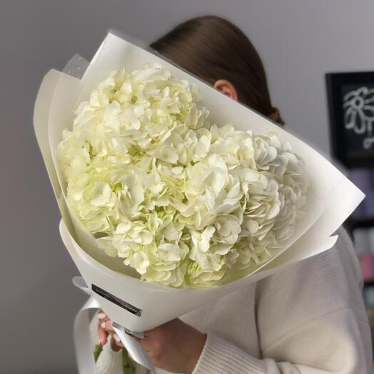 White hydrangeas