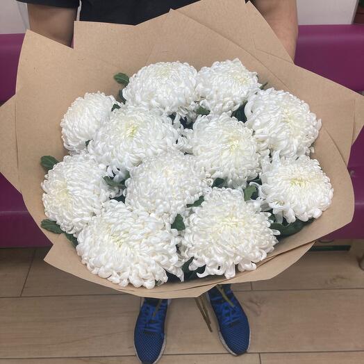 11 Crimean white chrysanthemums