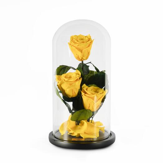 Yellow Preserved Roses in Glass Dome Trio