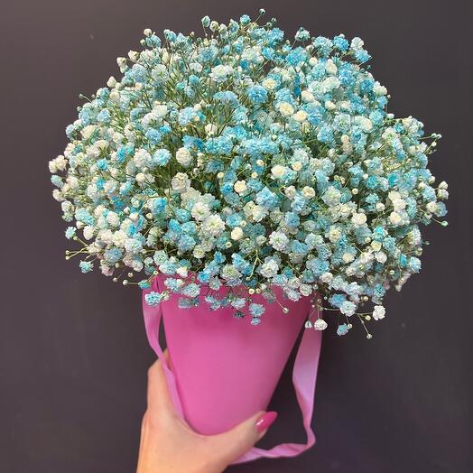 Гипсофила в конусе