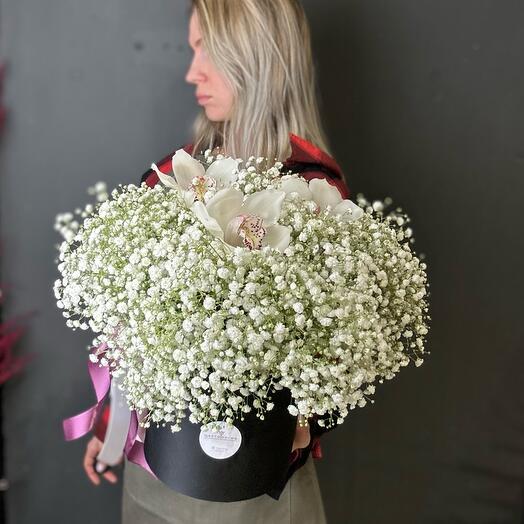 Caja de Gypsophila blanca