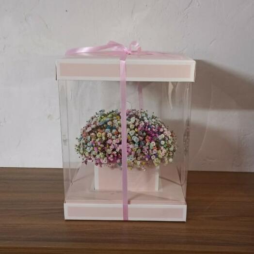 Gypsophila in a gift box "Gentle"