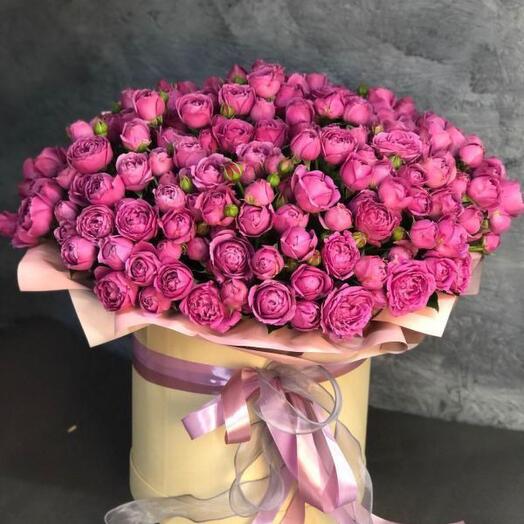 Rosas de arbusto Misty en una Caja de sombrero