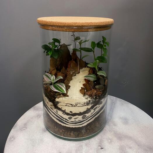 live-plants-moscow-buy-at-a-price-of