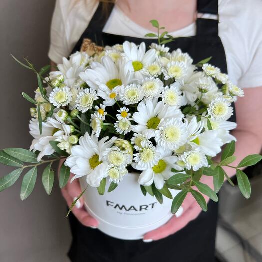 Daisies in a box
