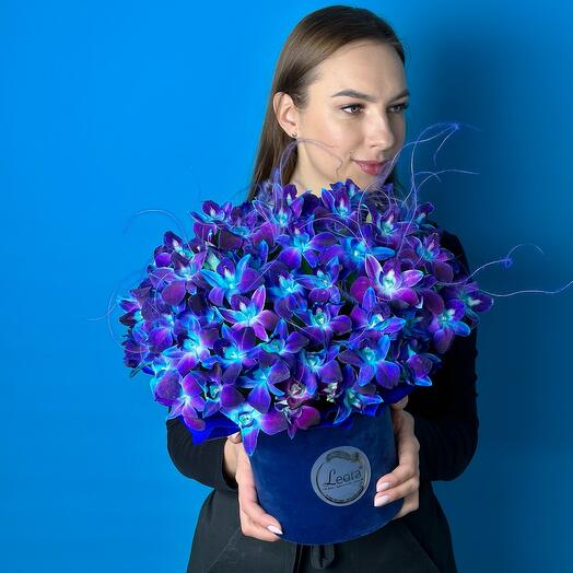 Цветы в коробке. Орхидеи Космос. Композиция 609. Leora Flowers дом цветочной моды