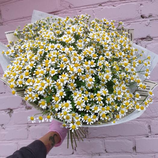 Summer gift