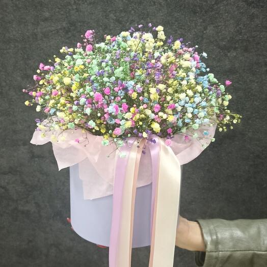 Gypsophila iridiscente en una Caja