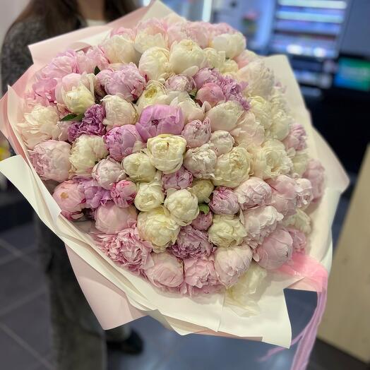Delicate bouquet of 101 white and pink peonies