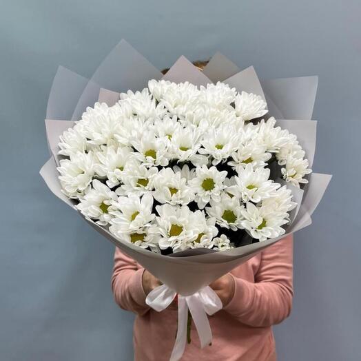 Bush chrysanthemum "Baltika"