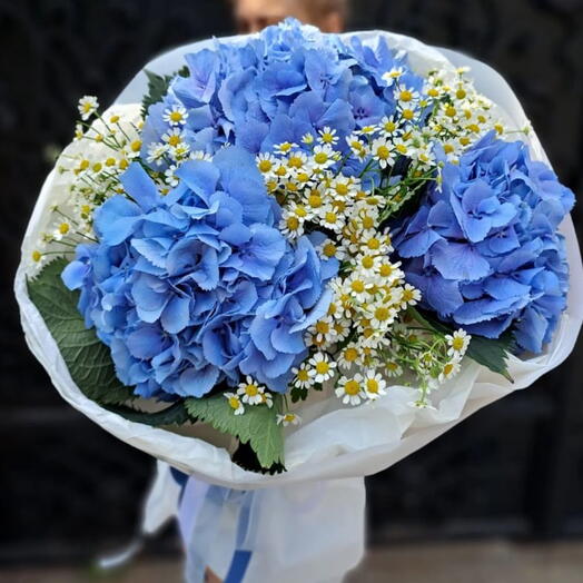 Bouquet of hydrangeas and chamomile