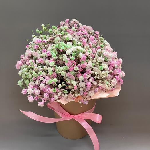 A cup of gypsophila