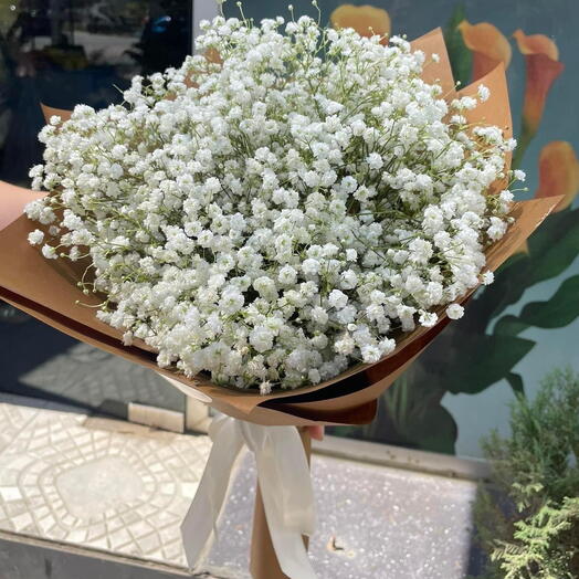 White gypsophila 🤍