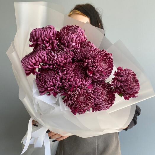 Хризантемы Бигуди