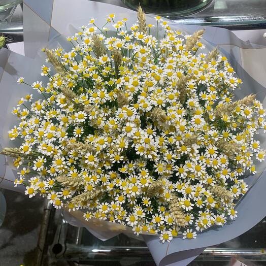 Букет из ромашек с колосками