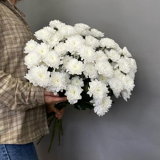 Монобукет из шикарной белоснежной кустовой хризантемы