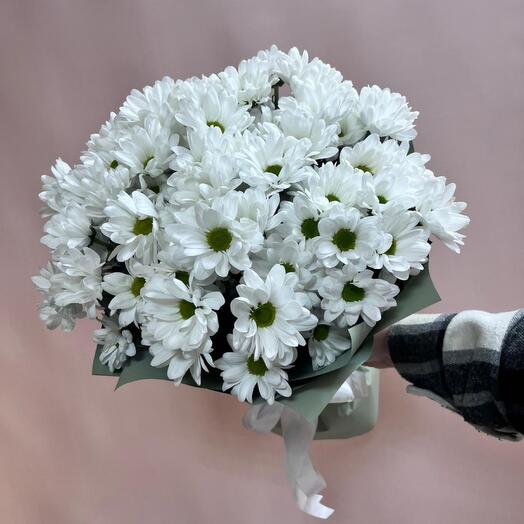 Ромашковая хризантема